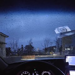 드레스 종류가 정말 다양해요